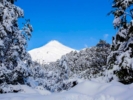 Pucón - Vistas del Volcán Villarrica